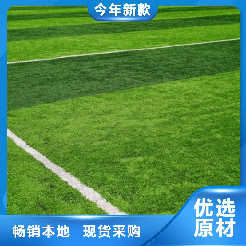 人造草坪【幼兒園足球場(chǎng)】高性價(jià)比