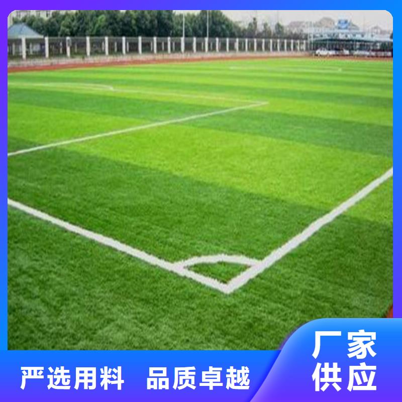 【人造草坪塑膠跑道施工精工細作品質優良】