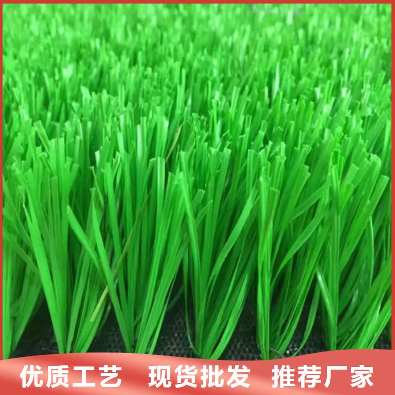 青州注塑人造草坪直供厂家