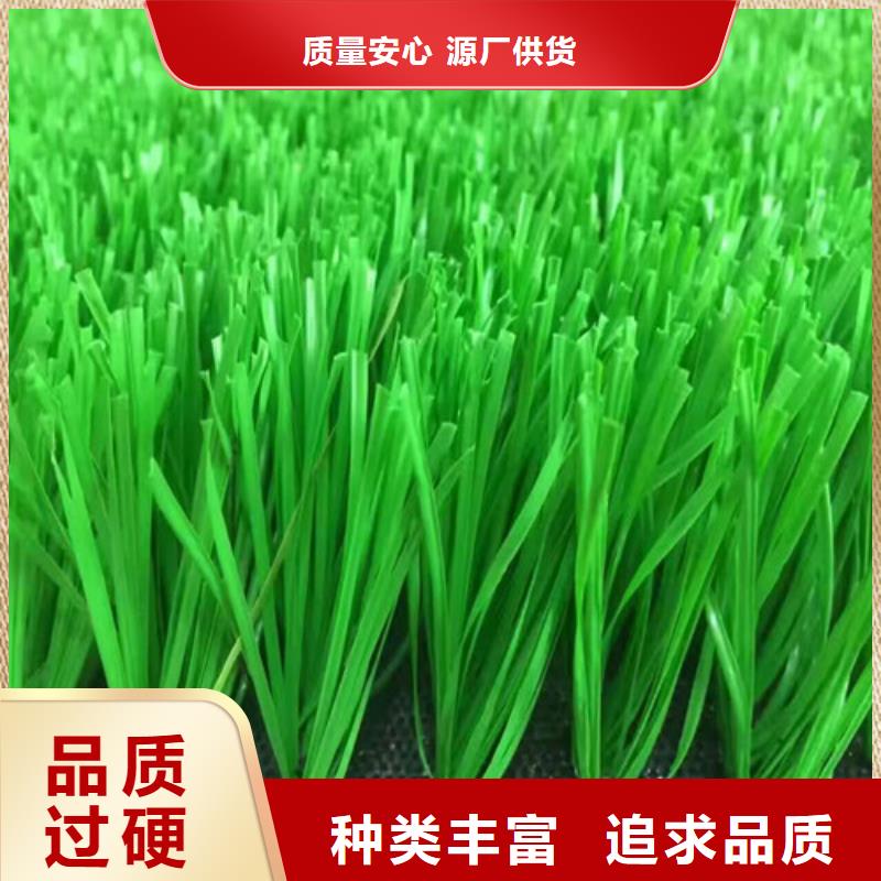订购【百锐】定制绿草地人造草坪的供货商