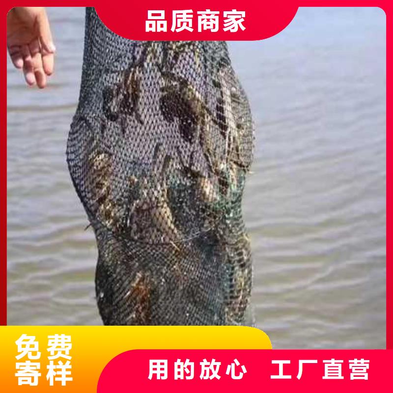 陽澄湖蟹這里好蘇州這里好