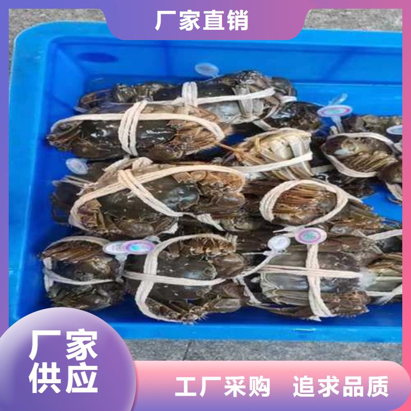 去陽(yáng)澄湖吃大閘蟹哪里好吃在蘇州陽(yáng)澄湖