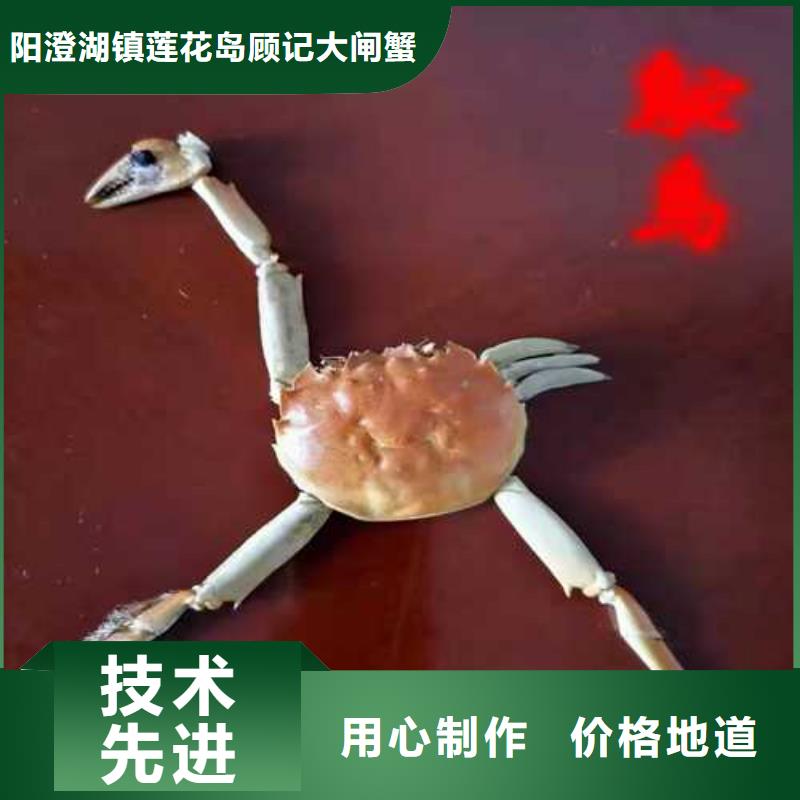 陽澄湖蟹這里好蘇州這里好