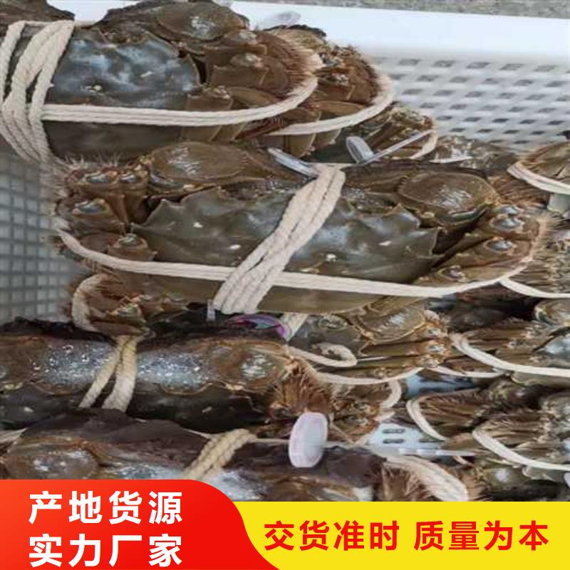 去正宗阳澄湖大闸蟹哪家正宗在苏州阳澄湖