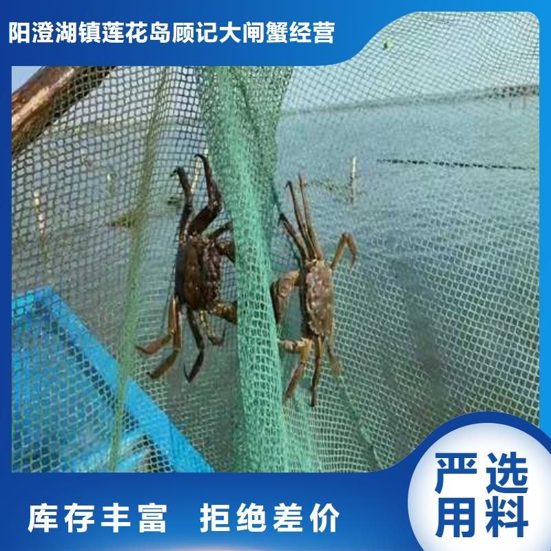 去陽(yáng)澄湖吃大閘蟹哪里好吃在蘇州陽(yáng)澄湖