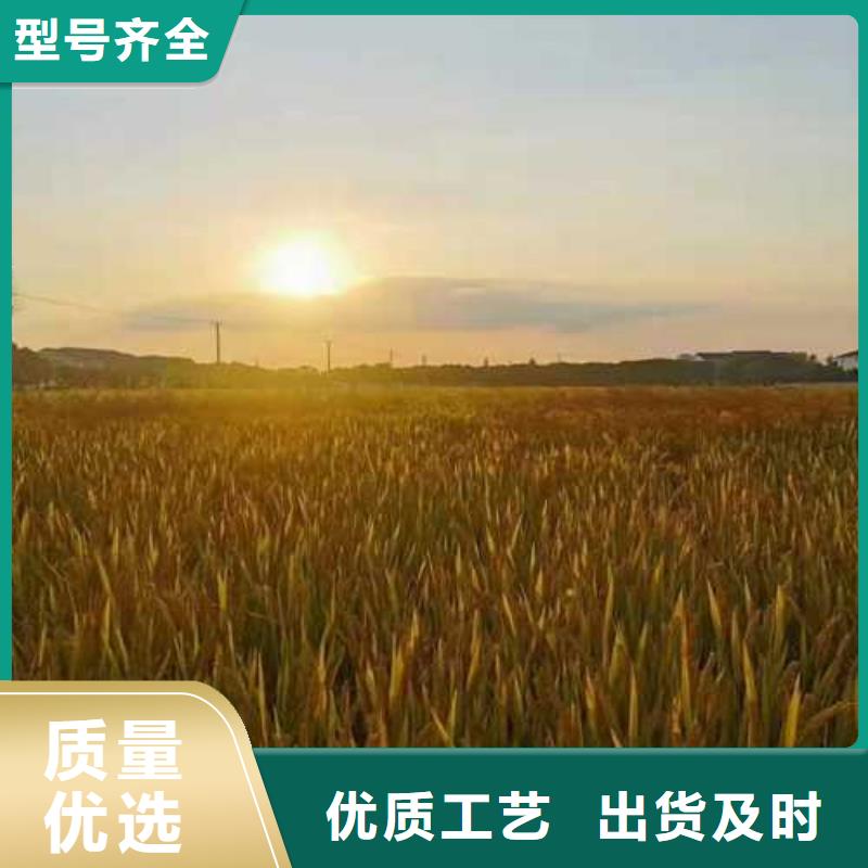 陽(yáng)澄湖大閘蟹哪里正宗蘇州這里好