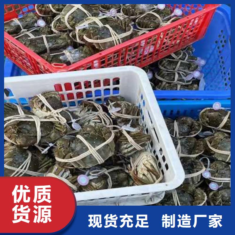 去正宗阳澄湖大闸蟹哪家正宗在苏州阳澄湖