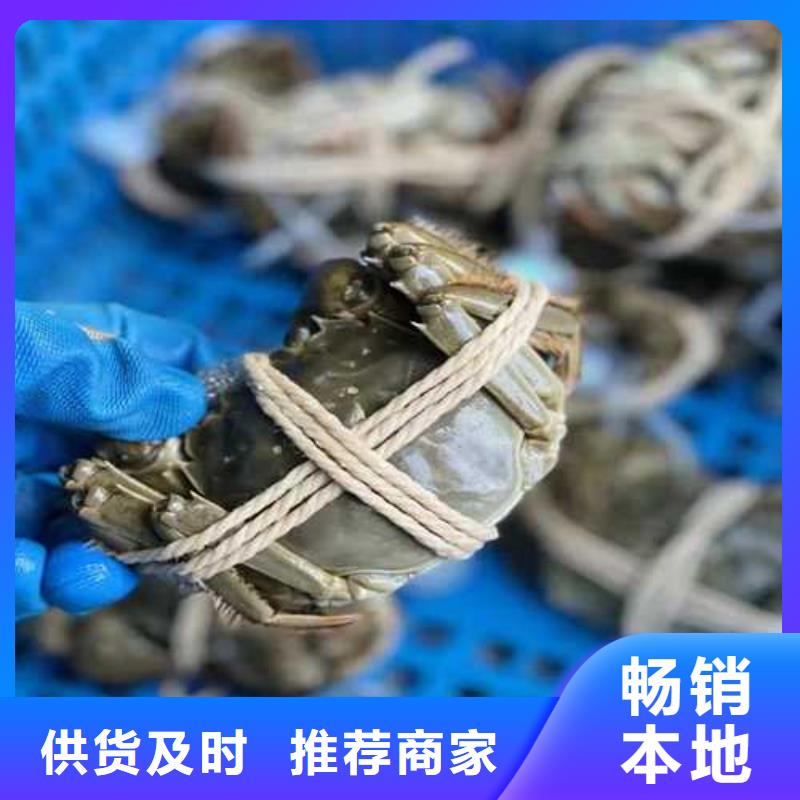 去陽澄湖吃蟹哪里好在蘇州陽澄湖