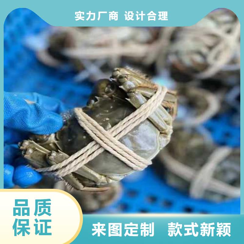 去陽澄湖蟹哪里比較正宗在蘇州蓮花島