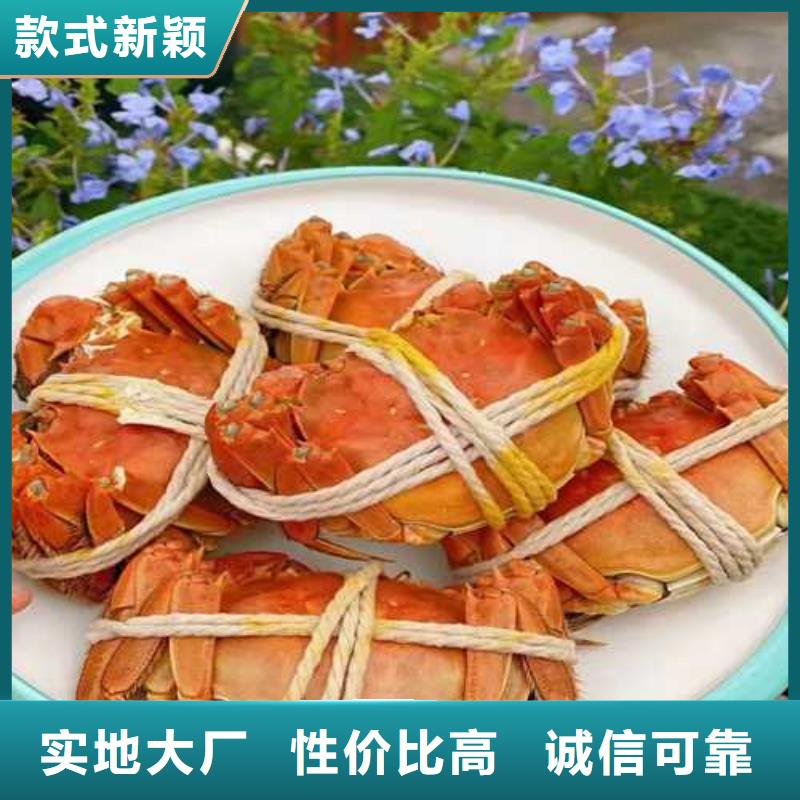 陽(yáng)澄湖大閘蟹哪里正宗蘇州這里好