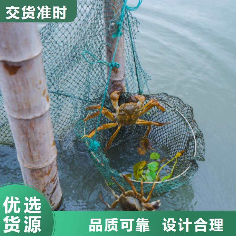 陽(yáng)澄湖大閘蟹哪里正宗蘇州這里好