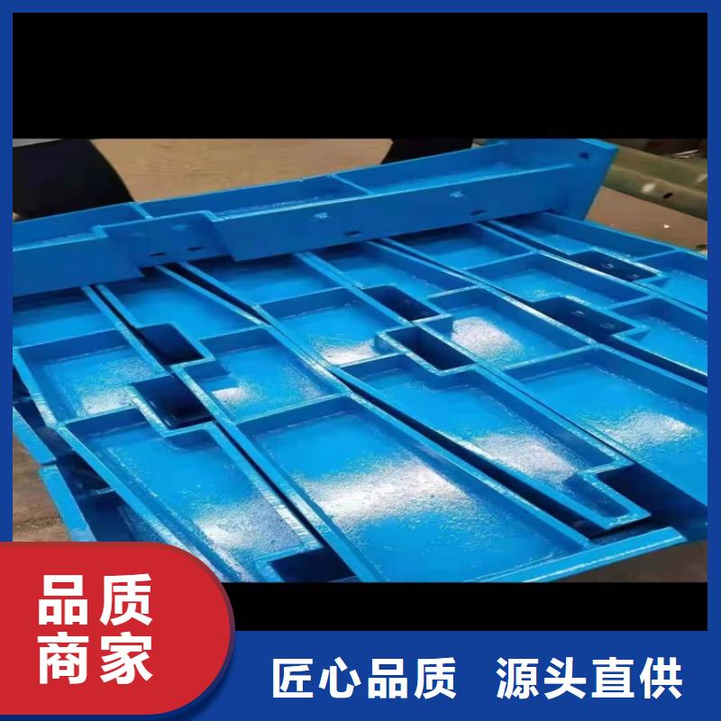 護(hù)欄市政護(hù)欄做工精細(xì)