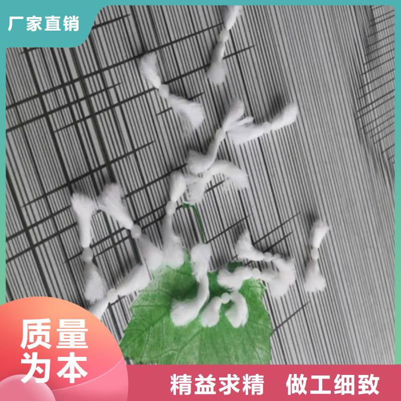 水處理填料,石英砂濾料廠家廠家擁有先進(jìn)的設(shè)備