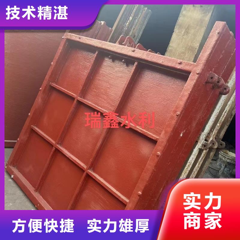 啟閉機閘門-平面閘門帶直聯(lián)啟閉機經驗豐富