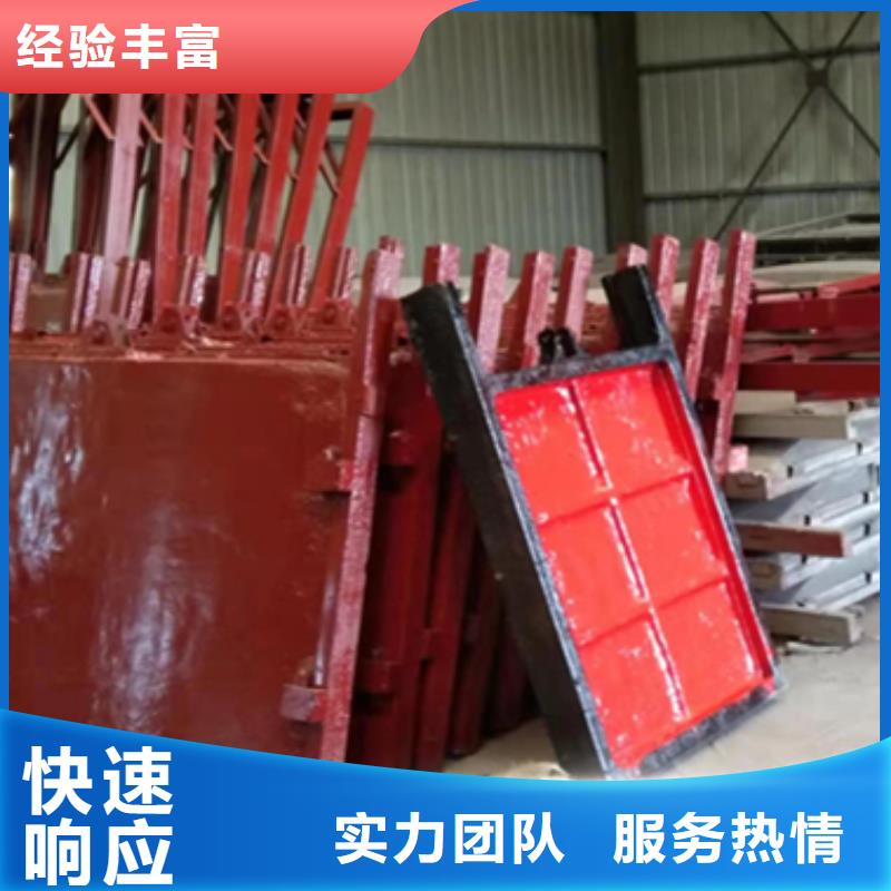 鑄鐵鑲銅閘門-平面鑄鐵閘門一站式解決方案