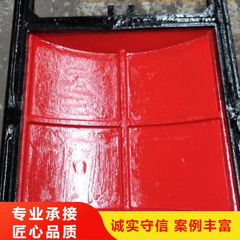 渠道閘門(mén)-鑄鐵閘門(mén)螺桿啟閉機(jī)定制化