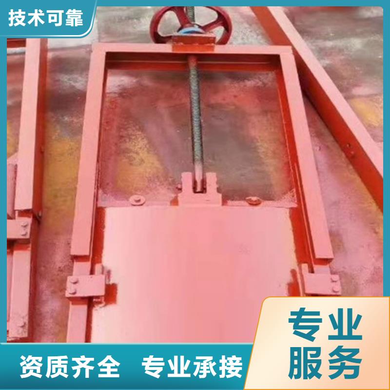 鑄鐵鑲銅閘門-螺桿式閘門啟閉機源頭廠家