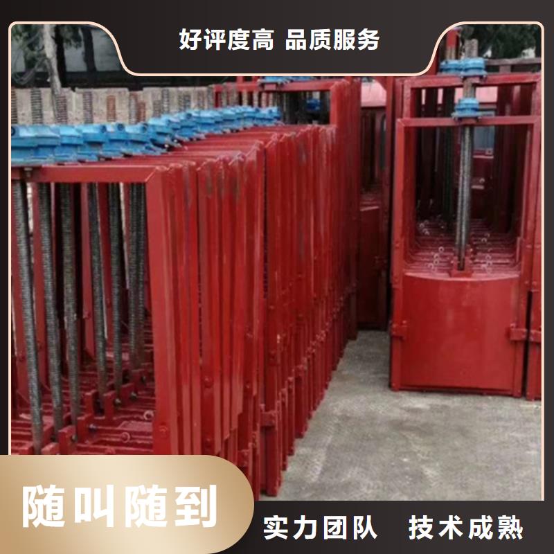 閘門啟閉機(jī)-平面鑄鐵閘門技術(shù)領(lǐng)先