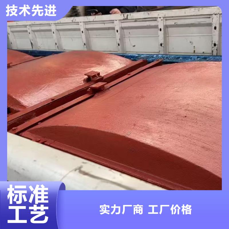 河道鑄鐵閘門-水電站閘門終身維護