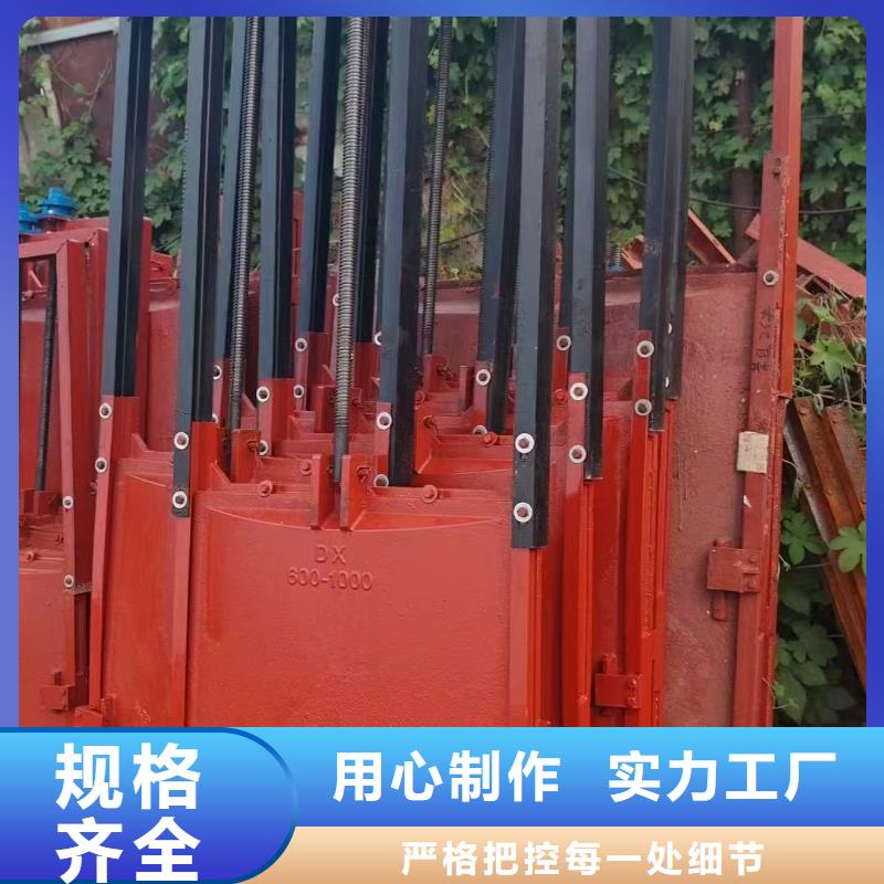 鑄鐵鑲銅閘門-螺桿式閘門啟閉機品質卓越