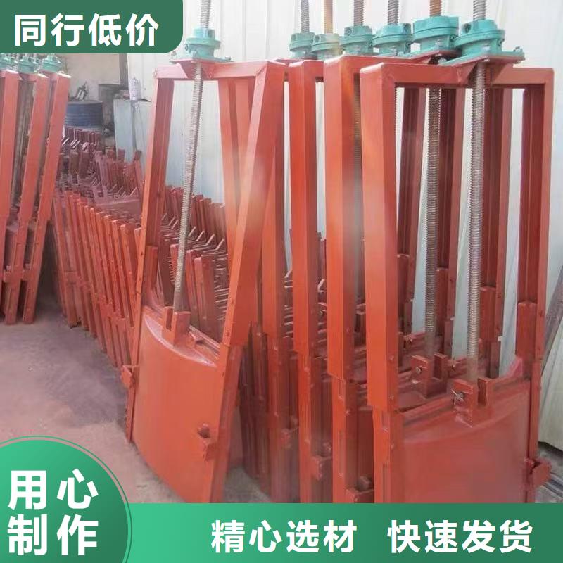 啟閉機閘門-閘門啟閉器定制化