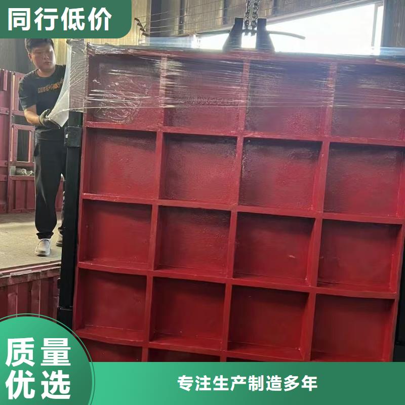 閘門啟閉機-機閘一體鑄鐵閘門智慧水利