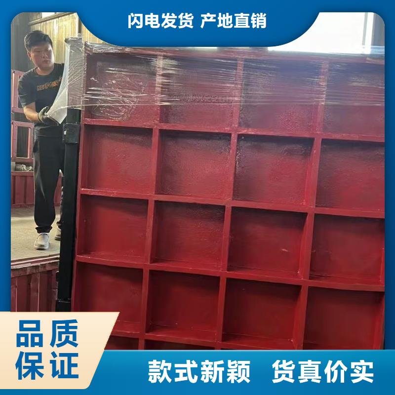 鑄鐵閘門-雙向鑄鐵鑲銅閘門免費安裝調試