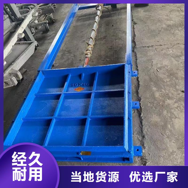 鑄鐵閘門-螺桿式閘門啟閉機信譽良好
