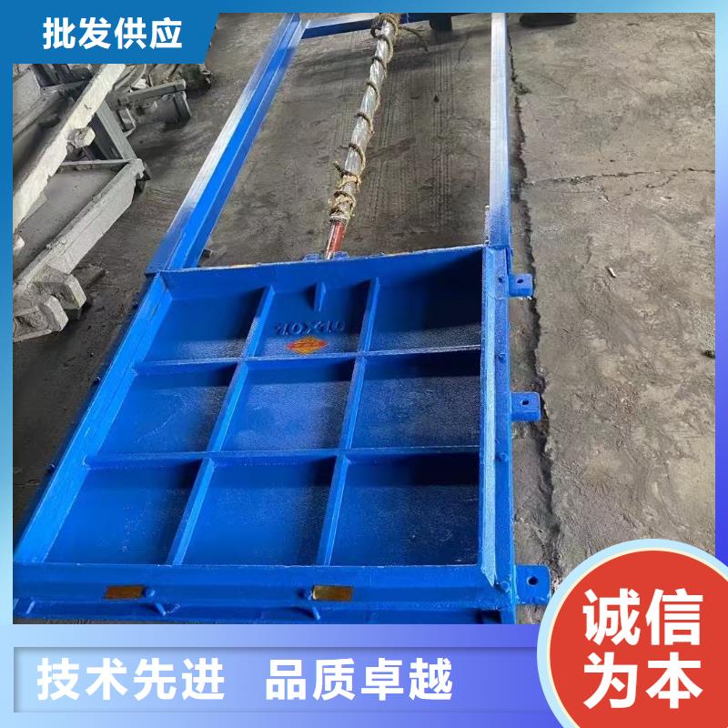 鑄鐵鑲銅閘門-1.2×1.2農田閘門技術領先