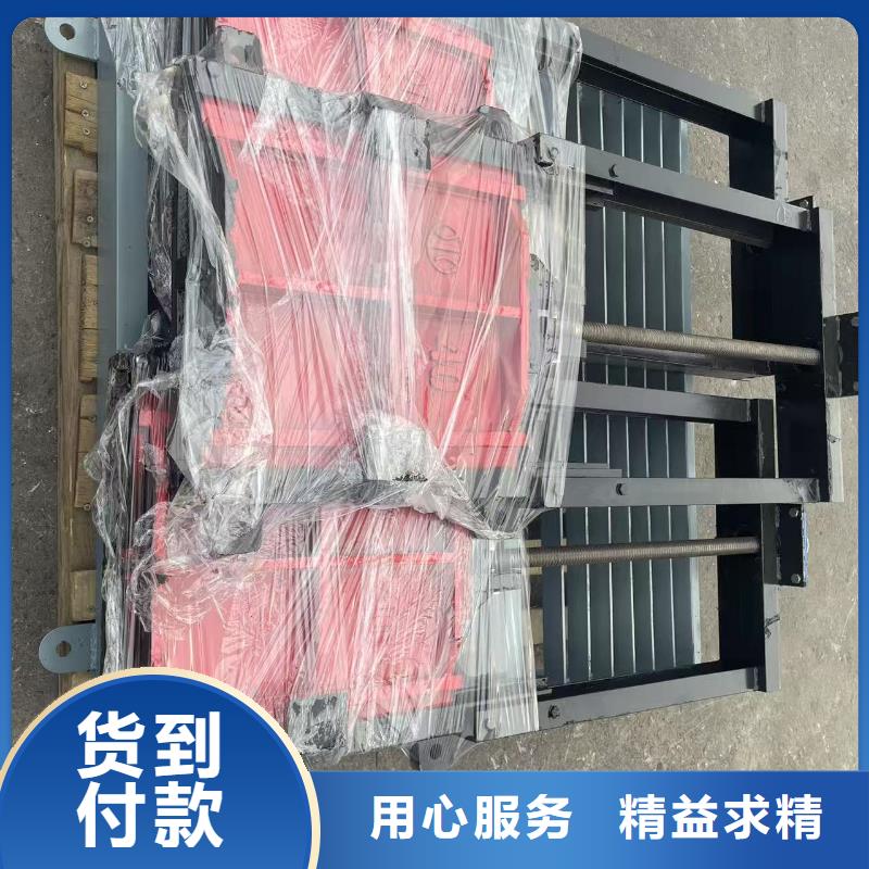 閘門啟閉機-PZ平板平面雙向止水鑄鐵閘門實力雄厚