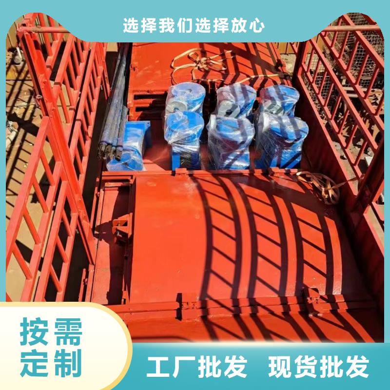 鑄鐵閘門-PZ機閘一體式鑄鐵閘門經驗豐富