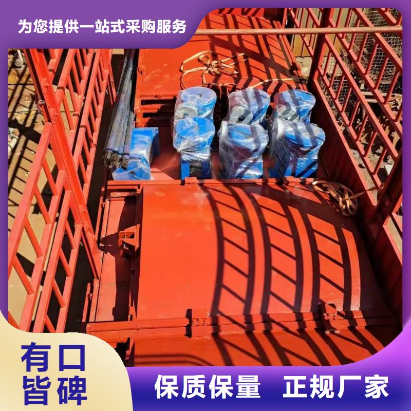 鑄鐵鑲銅閘門-平面鑄鐵閘門一站式解決方案