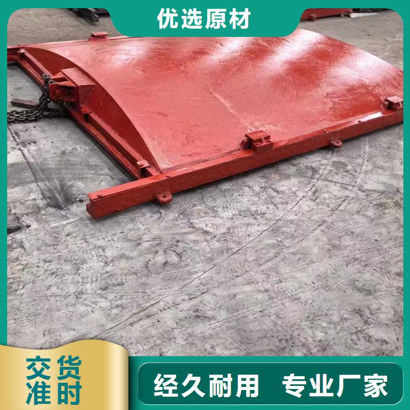 鑄鐵鑲銅閘門-水電站閘門經驗豐富