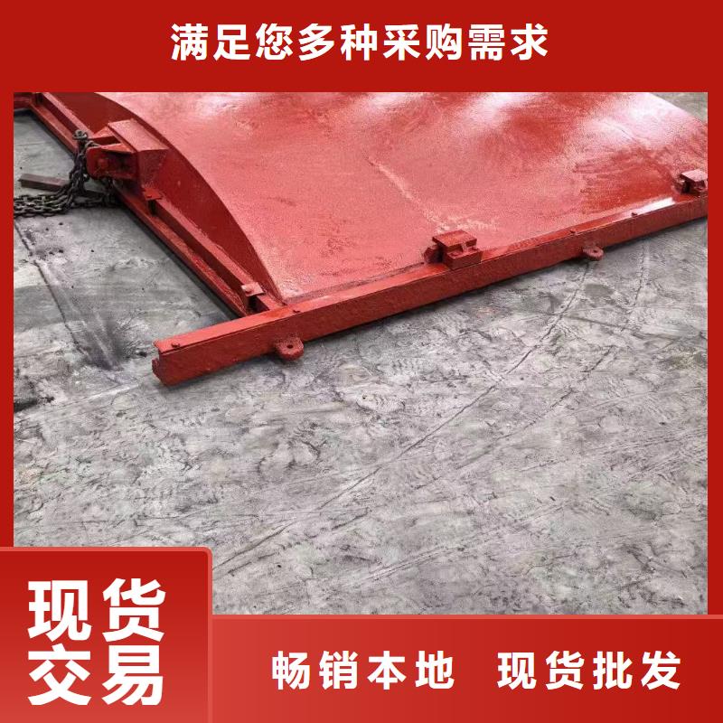 鑄鐵鑲銅閘門-pz雙向止水鑄鐵閘門品質卓越