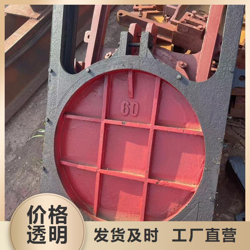 啟閉機閘門-雙向螺旋閘門一站式