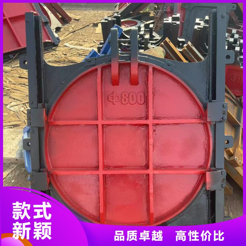 啟閉機(jī)閘門-水電站閘門老牌