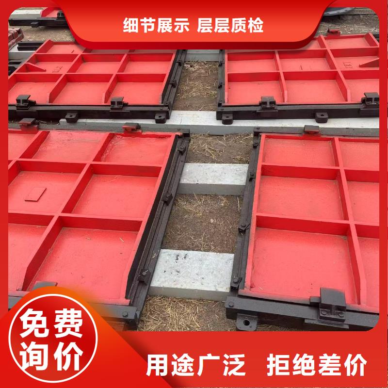 鑄鐵閘門-PZ雙向止水鑄鐵鑲銅閘門精益求精