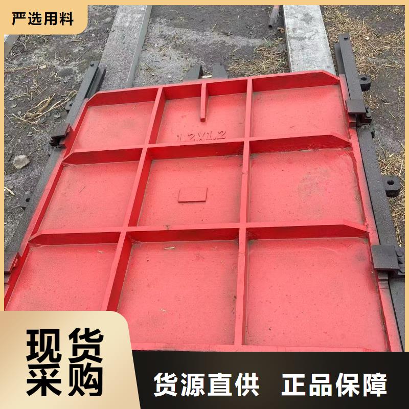 鑄鐵閘門-河道鑄鐵閘門性價比高