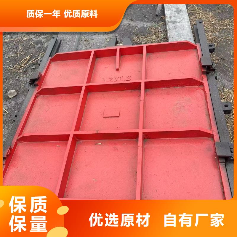 河道鑄鐵閘門-墻式鑲銅鑄鐵閘門經久耐用