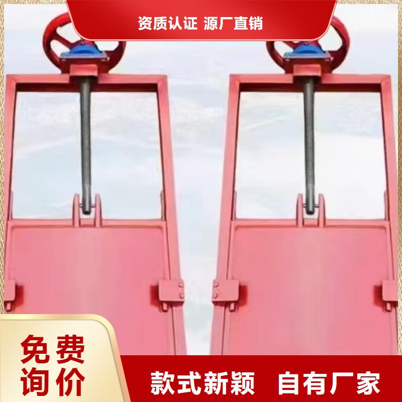 啟閉機閘門-平面鋼閘門防腐鋼制閘門服務貼心