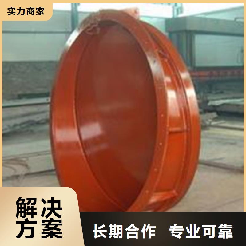 本地《瑞鑫》钢制浮箱式拍门-钢制浮箱式拍门质量可靠