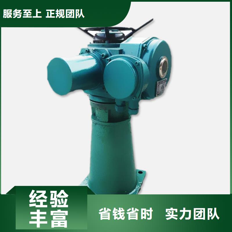啟閉機(jī)5t螺桿式啟閉機(jī)		品質(zhì)保障