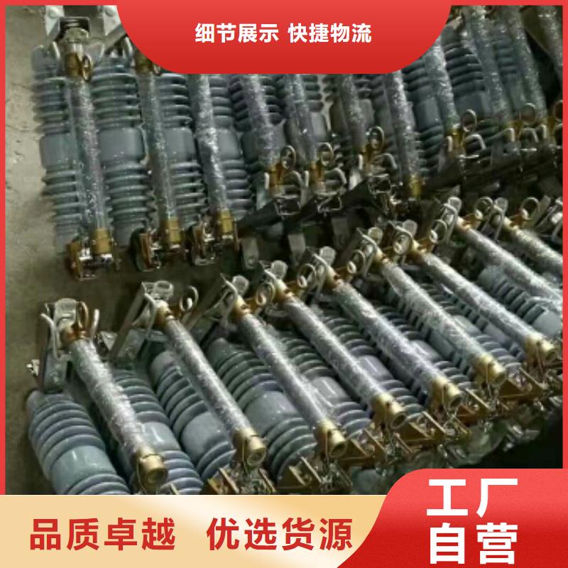 [羿振]厂家推荐：高压熔断器/RW10-10/100