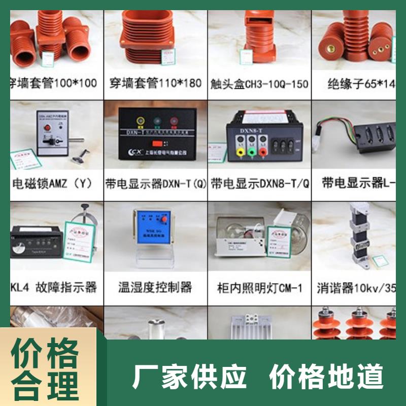 高壓隔離開關-絕緣子層層質檢