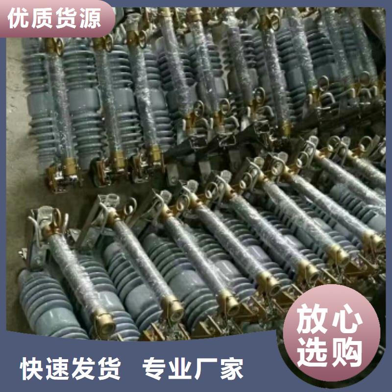 {羿振}行业资讯：

高压熔断器/RW12-11/100