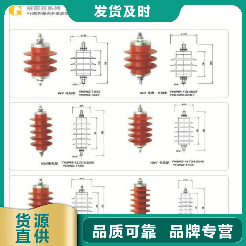 YHSW5-17/50氧化锌避雷器 浙江羿振电气有限公司