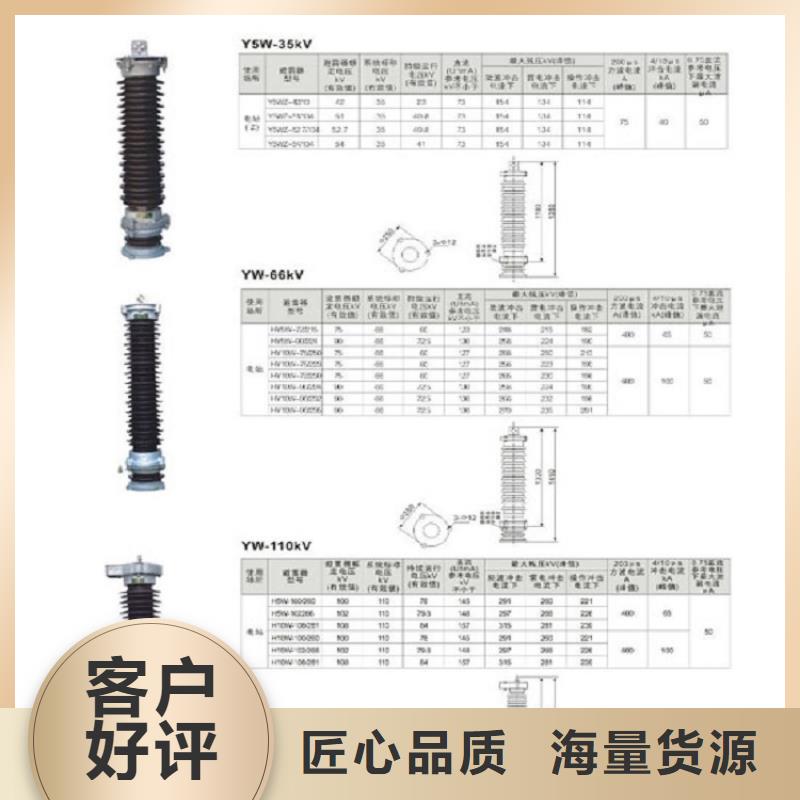 金属氧化物避雷器Y10W-108/281【上海羿振电力设备有限公司】