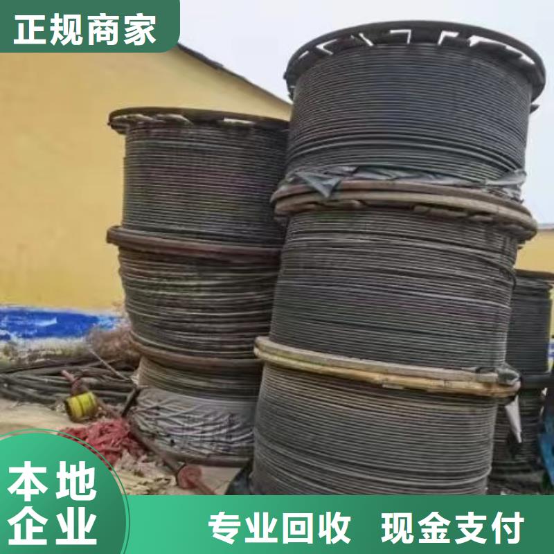 《睿越》儋州市专业销售铜线回收价格多少钱一米-全国配送