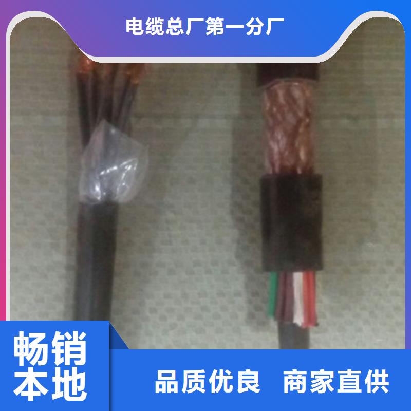 特種電纜,計算機電纜好廠家有擔當