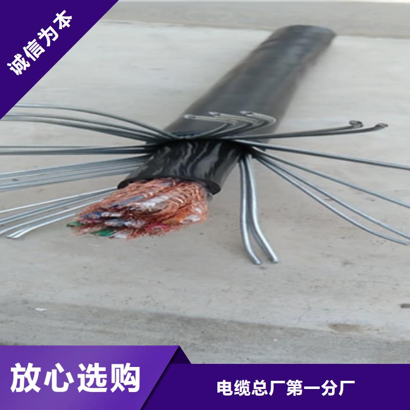 計算機電纜【屏蔽電纜】自營品質(zhì)有保障